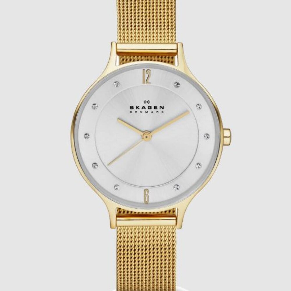NWOT Skagen Anita watch!